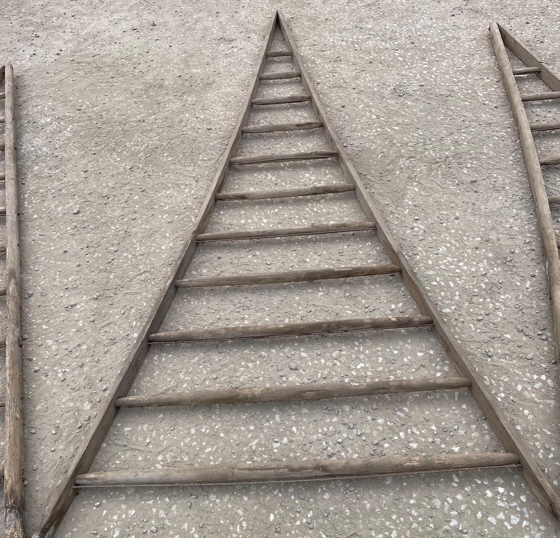 Vintage Rustic Fruit Picking Ladders | Garden