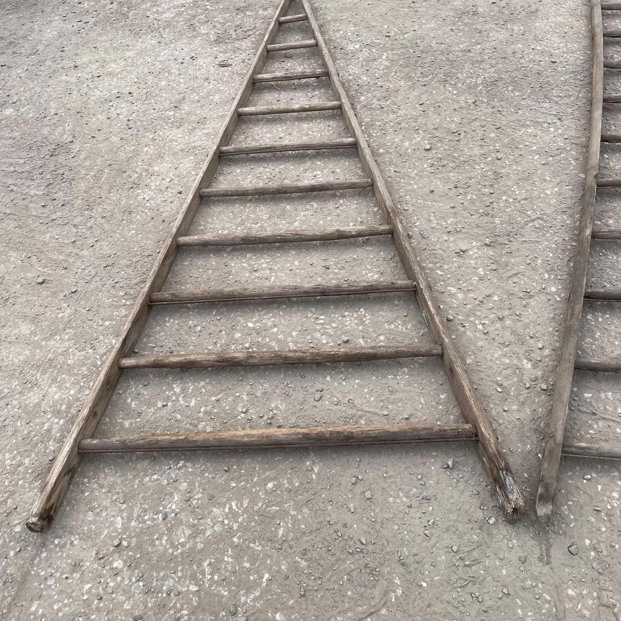 Vintage Rustic Fruit Picking Ladders | Garden | REF: VRFPL003